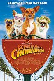 Beverly Hills Chihuahua