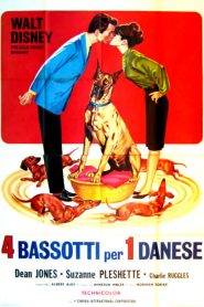 4 bassotti per 1 danese