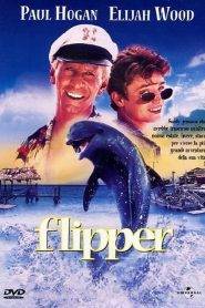 Flipper