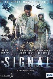 The Signal