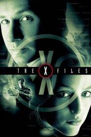 X-Files