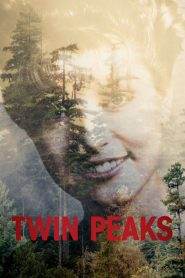 I segreti di Twin Peaks 3