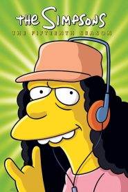 I Simpson 15