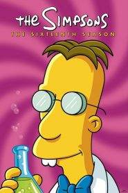 I Simpson 16