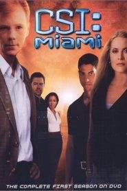 CSI: Miami 1