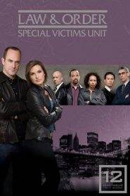 Law & Order – Unità vittime speciali 12