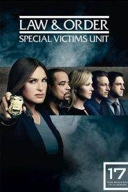 Law & Order – Unità vittime speciali 17