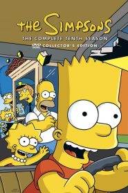 I Simpson 10
