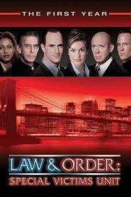 Law & Order – Unità vittime speciali 1