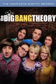 The Big Bang Theory 8