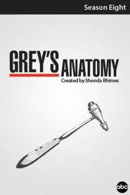 Grey’s Anatomy 8