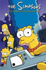 I Simpson 7