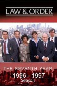 Law & Order 7