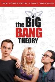 The Big Bang Theory 1