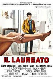 Il laureato