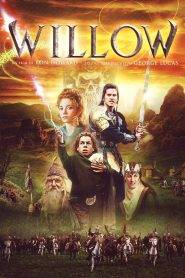 Willow