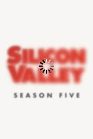 Silicon Valley 5