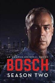 Bosch 2