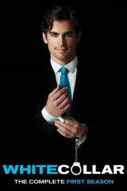 White Collar – Fascino criminale 1