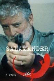 Salamander 2