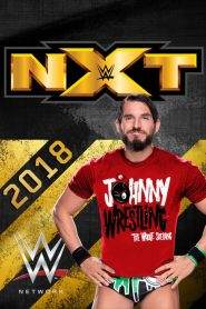 WWE NXT 12