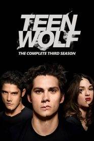 Teen Wolf 3