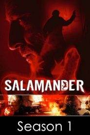 Salamander 1