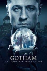 Gotham 3