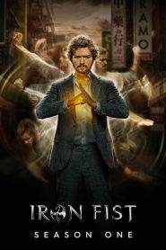 Iron Fist 1