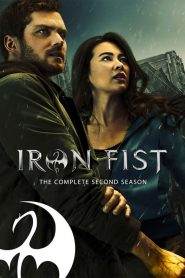 Iron Fist 2