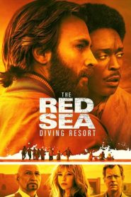 Red Sea Diving