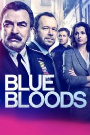 Blue Bloods 9