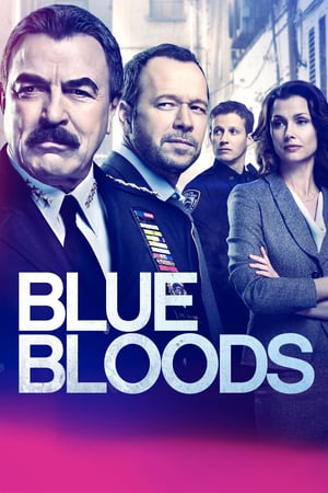 Blue Bloods 9