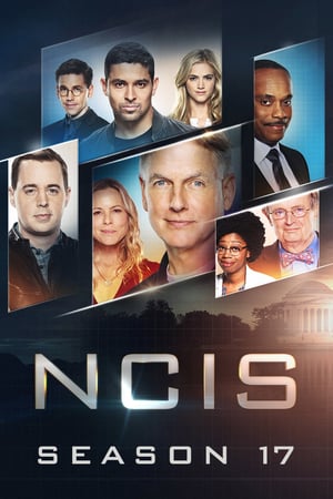 NCIS – Unità anticrimine 17