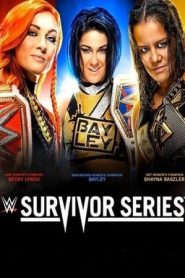 WWE Survivor Series