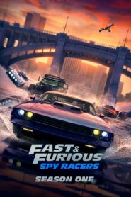 Fast & Furious: Piloti sotto copertura 1