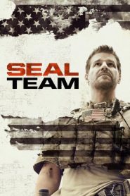 SEAL Team 3