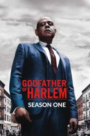 Godfather of Harlem 1