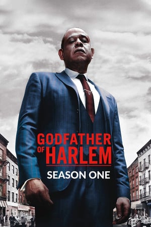 Godfather of Harlem 1