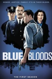 Blue Bloods 1