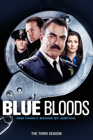 Blue Bloods 3