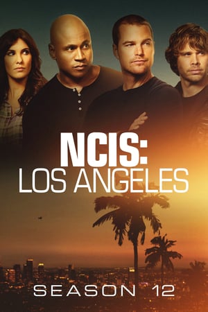 NCIS: Los Angeles 12