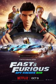 Fast & Furious: Piloti sotto copertura 2