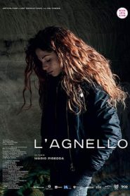 L’agnello