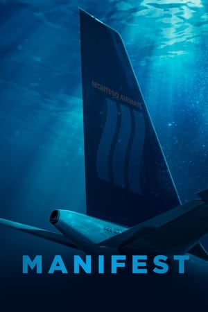 Manifest 3