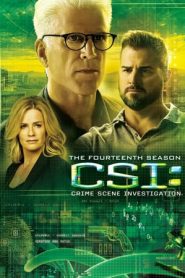 CSI – Scena del crimine 14