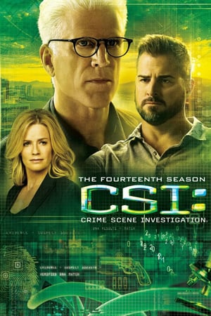 CSI – Scena del crimine 14