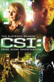 CSI – Scena del crimine 11