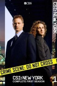 CSI: NY 1