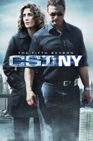 CSI: NY 5